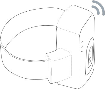 Industria de monitoreo electrónico de Gosafe